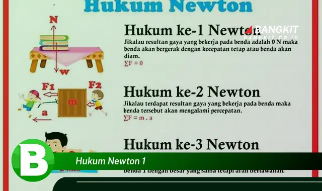 Ketahui Hal yang Wajib Kamu Intip Tentang Hukum Newton 1