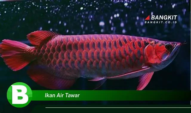 Intip Hal Rahasia Tentang Ikan Air Tawar yang Jarang Diketahui