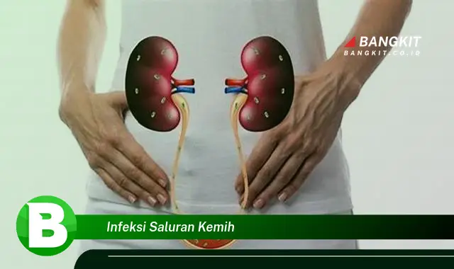 Intip Rahasia Infeksi Saluran Kemih yang Wajib Kamu Ketahui