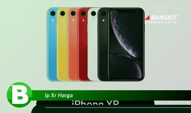 Intip Harga iPhone XR yang Bikin Kamu Penasaran