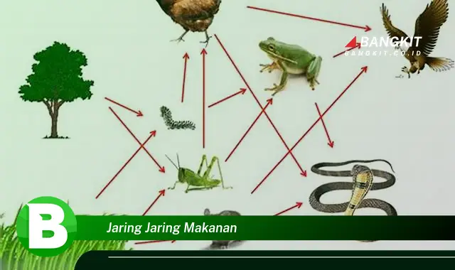 Intip Hal Menarik tentang Jaringan Makanan yang Bikin Kamu Penasaran