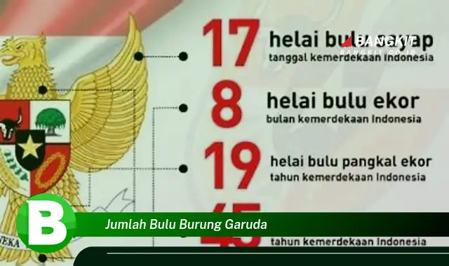 Intip Hal Tentang Jumlah Bulu Burung Garuda yang Jarang Diketahui