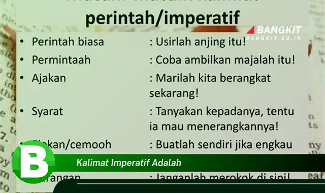 Intip Hal Penting Tentang Kalimat Imperatif yang Jarang Diketahui