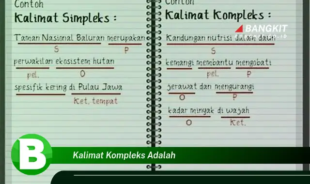 Ketahui Rahasia Kalimat Kompleks yang Bikin Kamu Penasaran