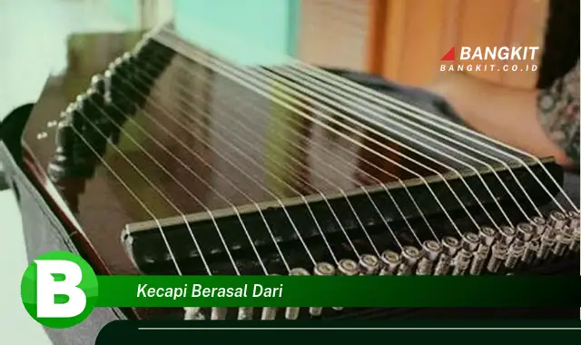 Intip Hal Asal Usul Kecapi yang Bikin Kamu Penasaran