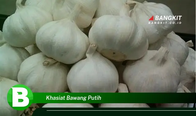 Intip Khasiat Bawang Putih yang Bikin Kamu Penasaran