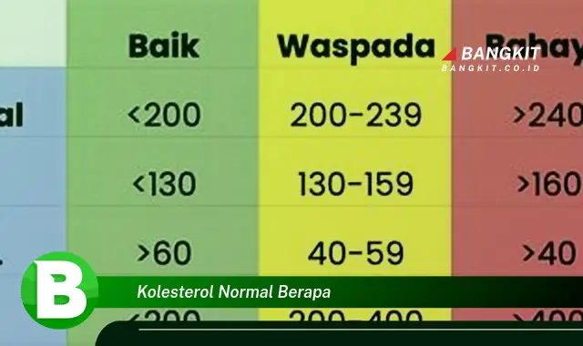 Intip Hal Tentang Kolesterol Normal yang Wajib Kamu Ketahui