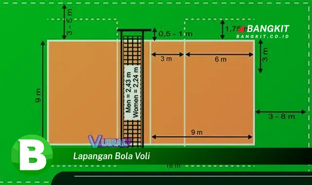 Intip Hal Tentang Lapangan Bola Voli yang Bikin Kamu Penasaran