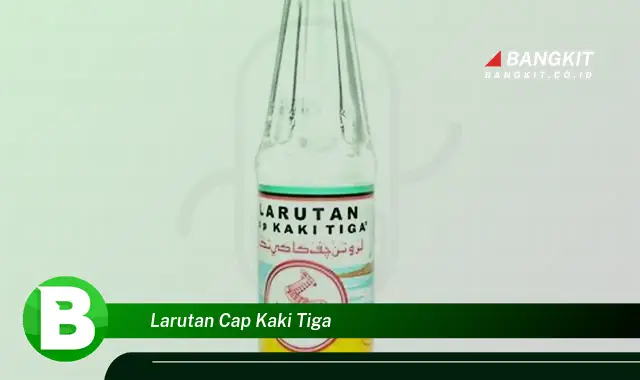 Ketahui Hal Tentang Larutan Cap Kaki Tiga yang Jarang Diketahui