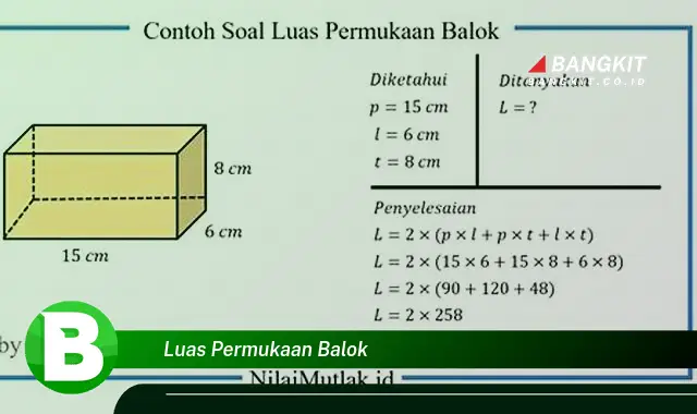 Intip Rahasia Menarik tentang Luas Permukaan Balok yang Jarang Diketahui