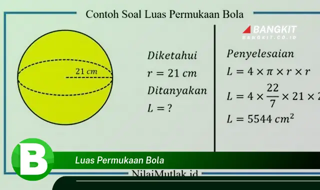 Intip Hal Menarik Tentang Luas Permukaan Bola yang Wajib Kamu Ketahui