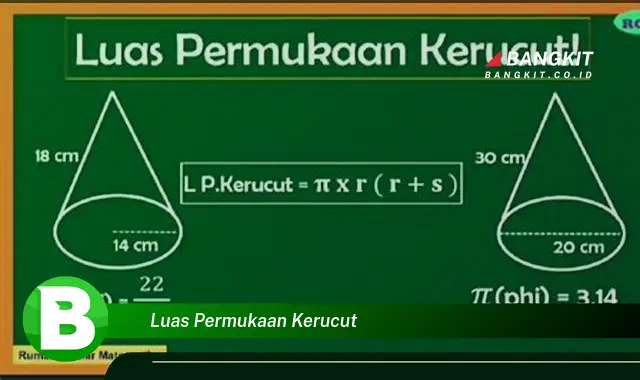 Intip Hal Yang Bikin Kamu Penasaran Tentang Luas Permukaan Kerucut