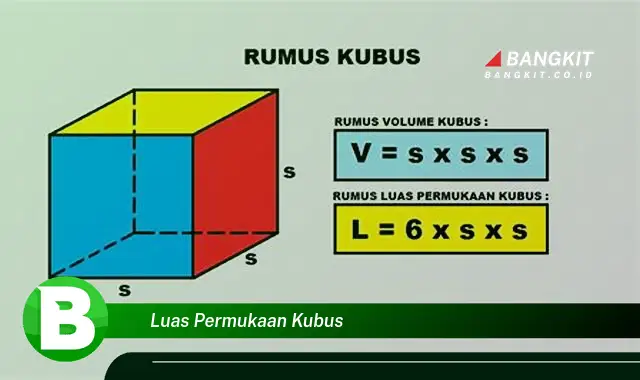 Intip Rahasia Luas Permukaan Kubus yang Bikin Kamu Penasaran