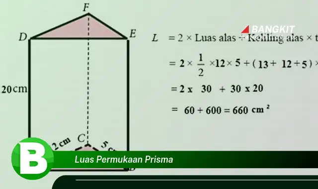 Intip Hal Tentang Luas Permukaan Prisma Yang Bikin Kamu Penasaran