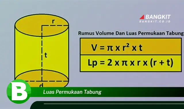 Intip Hal Tentang Luas Permukaan Tabung yang Bikin Kamu Penasaran