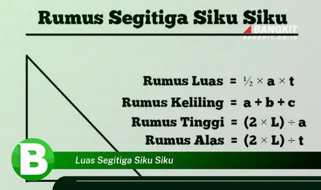 Intip Rumus Luas Segitiga Siku-Siku yang Bikin Kamu Penasaran