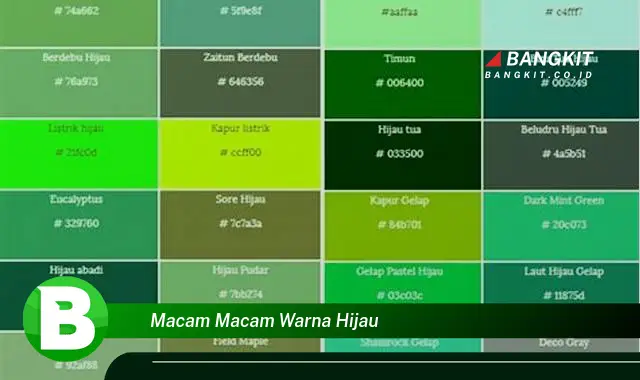 Intip Hal Tentang Macam Macam Warna Hijau yang Jarang Diketahui