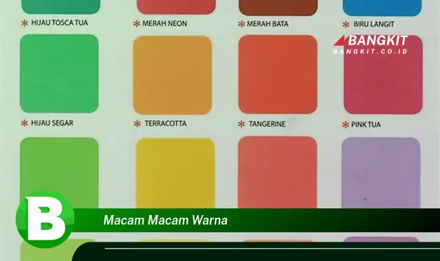 Ketahui Macam-Macam Warna yang Bikin Kamu Penasaran