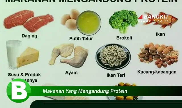 Intip Hal Tentang Makanan yang Mengandung Protein yang Wajib Kamu Ketahui