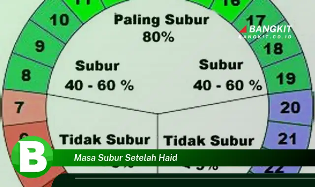 Intip Hal Tentang Masa Subur Setelah Haid yang Wajib Kamu Ketahui