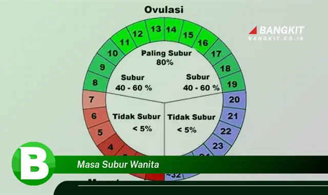 Intip Hal Tentang Masa Subur Wanita yang Bikin Kamu Penasaran