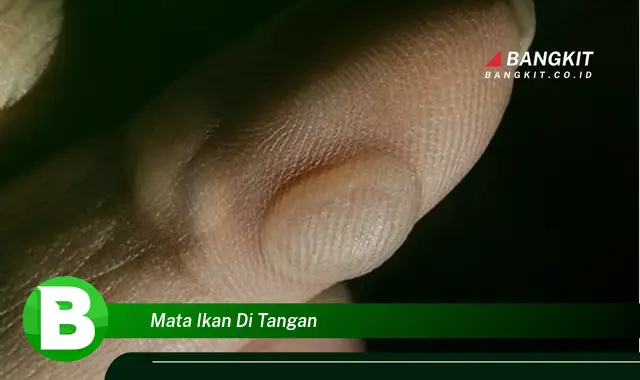 Intip Hal Tentang Mata Ikan di Tangan yang Wajib Kamu Intip