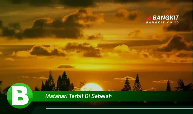 Intip Rahasia Matahari Terbit di Sebelah yang Bikin Kamu Penasaran