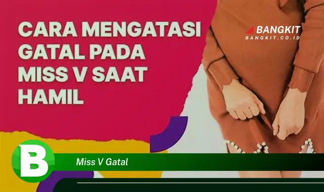 Intip Hal Tentang "Miss V Gatal" yang Jarang Diketahui