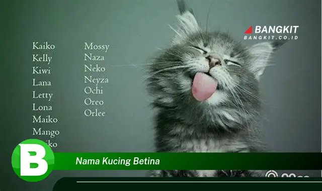 Ketahui Hal Tentang Nama Kucing Betina yang Jarang Diketahui