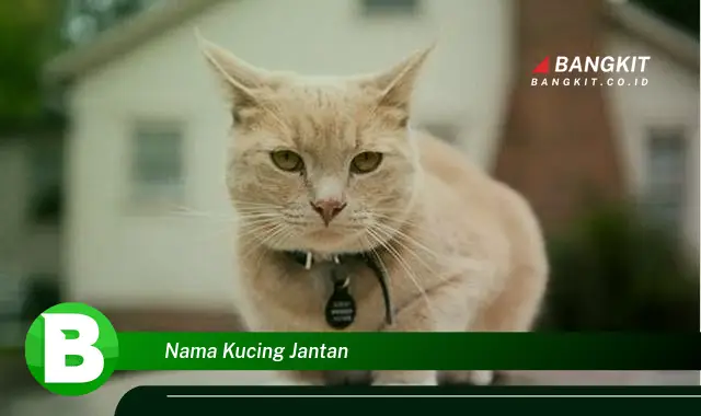 Intip Nama Kucing Jantan yang Bikin Kamu Penasaran