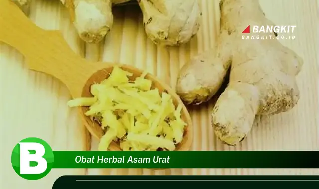 Intip Hal Tentang Obat Herbal Asam Urat yang Wajib Kamu Ketahui