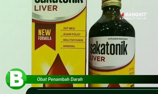 Intip Hal Penting yang Wajib Kamu Tahu Tentang Obat Penambah Darah yang Bikin Kamu Penasaran