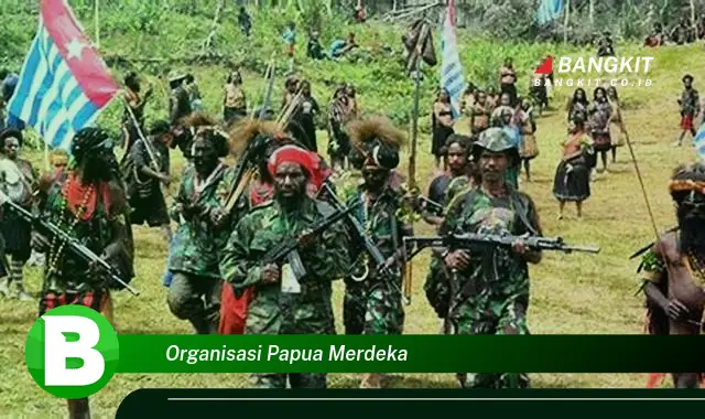 Intip Hal Tersembunyi Organisasi Papua Merdeka