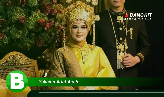 Intip Hal Tentang Pakaian Adat Aceh yang Jarang Diketahui