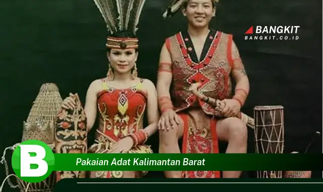 Ketahui Hal Tentang Pakaian Adat Kalimantan Barat yang Wajib Kamu Intip