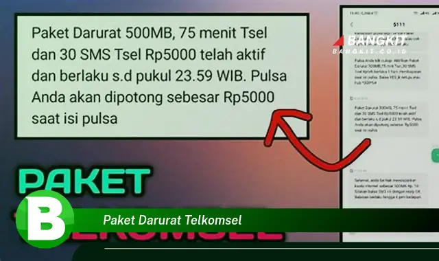 Intip Hal Rahasia Tentang Paket Darurat Telkomsel yang Wajib Kamu Ketahui