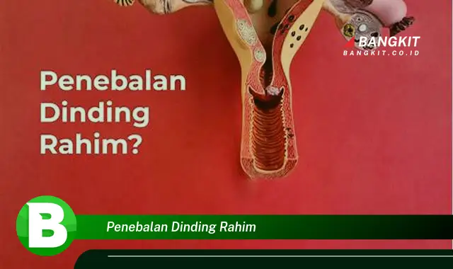 Intip Fenomena Penebalan Dinding Rahim yang Bikin Penasaran