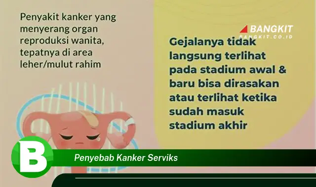 Ketahui Penyebab Kanker Serviks yang Bikin Kamu Penasaran