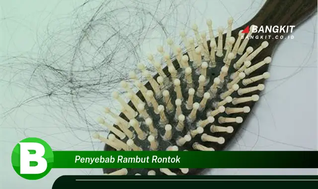 Ketahui Penyebab Rambut Rontok yang Bikin Kamu Penasaran