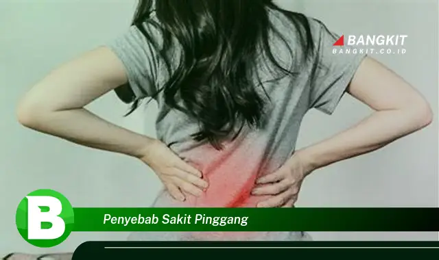 Intip Hal Tentang Penyebab Sakit Pinggang yang Bikin Kamu Penasaran