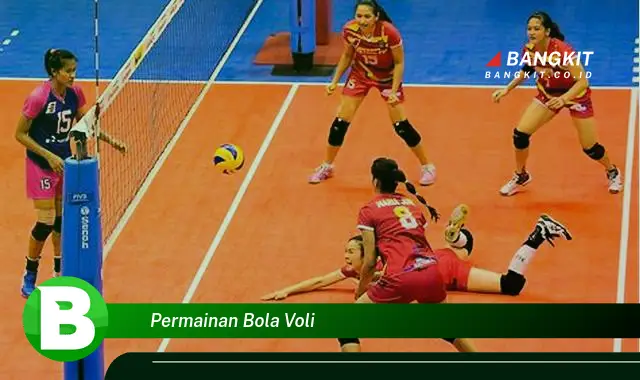 Ketahui Rahasia Permainan Bola Voli yang Bikin Kamu Penasaran