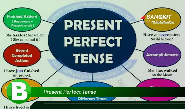 Ketahui Hal Tentang Present Perfect Tense yang Wajib Kamu Ketahui