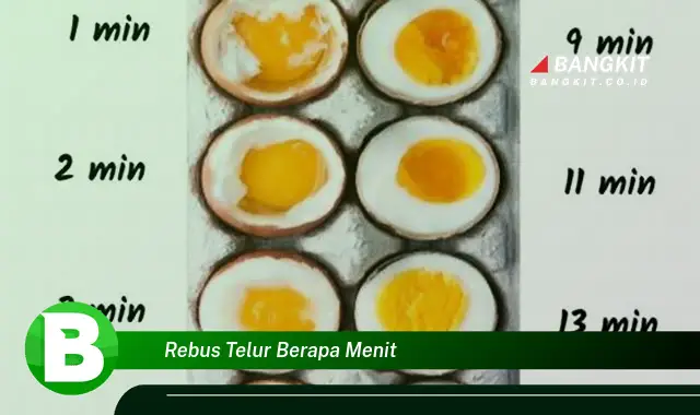 Intip Hal Tentang Rebus Telur Berapa Menit yang Bikin Kamu Penasaran