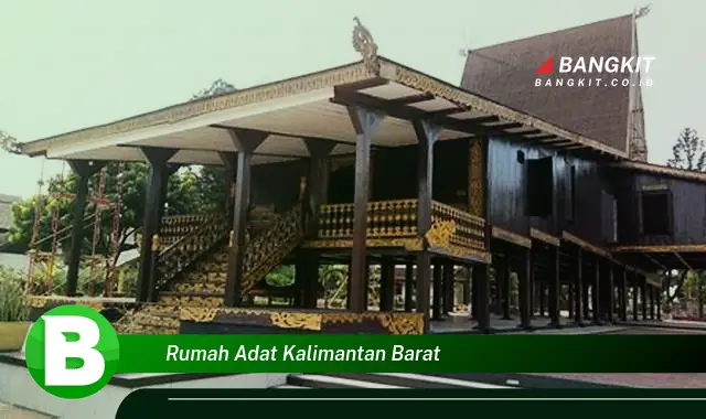 Intip Hal Menarik Tentang Rumah Adat Kalimantan Barat!