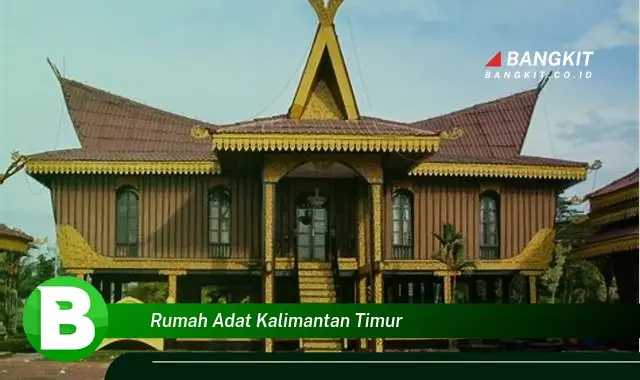 Intip Hal Tersembunyi Tentang Rumah Adat Kalimantan Timur yang Jarang Diketahui