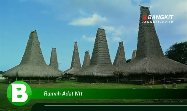 Intip Hal Tentang Rumah Adat NTT yang Bikin Kamu Penasaran