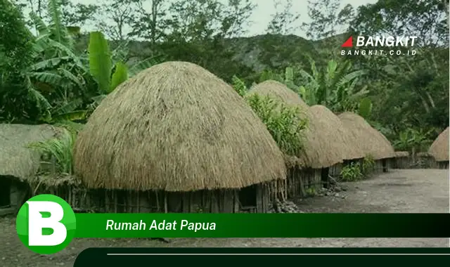 Intip Hal Tentang Rumah Adat Papua yang Bikin Kamu Penasaran