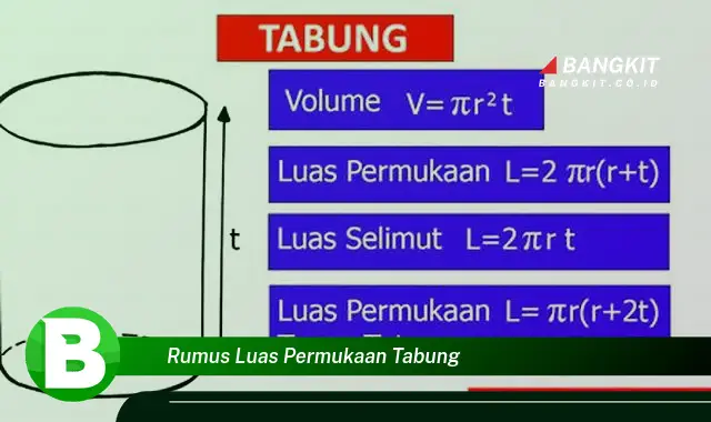 Intip Hal Tentang Rumus Luas Permukaan Tabung yang Bikin Kamu Penasaran