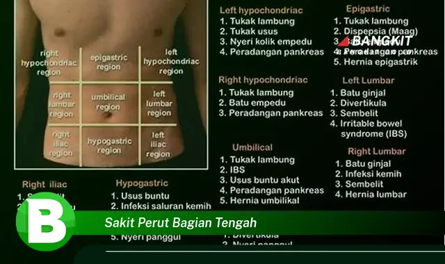 Intip Hal Tentang Sakit Perut Bagian Tengah yang Bikin Kamu Penasaran