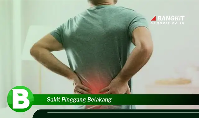 Intip Rahasia Sakit Pinggang Belakang yang Wajib Kamu Tahu